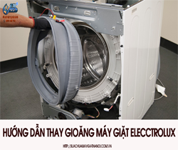 Thay Gioang May Giat Electrolux