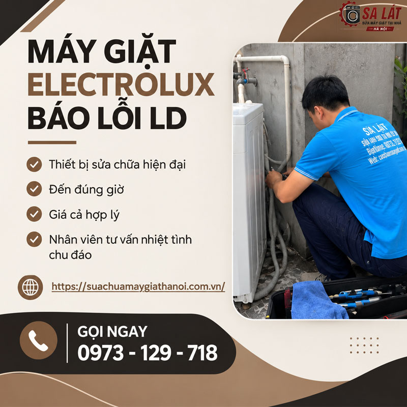Hướng Dẫn Khắc Phục Máy Giặt Electrolux Báo Lỗi LD Tại Nhà🛠️